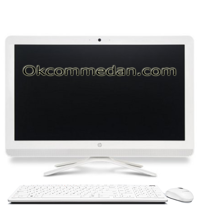 HP 20 C005d PC All in one AMD E2