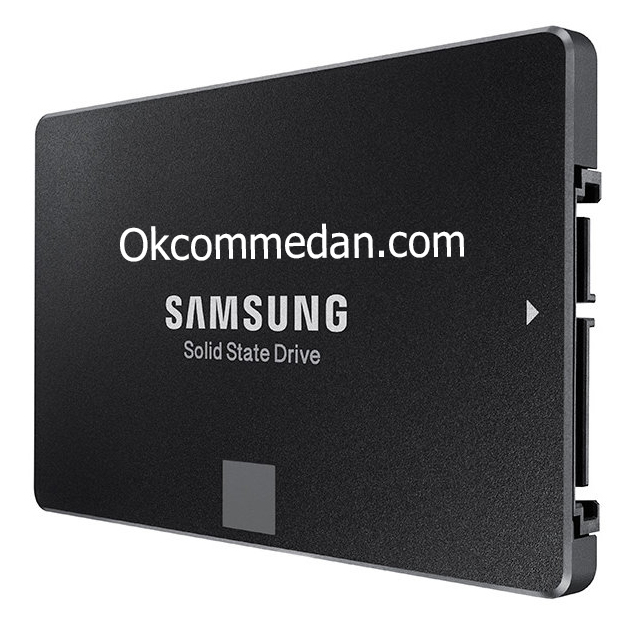 SSD Samsung 850 Evo 250 Gb bergaransi