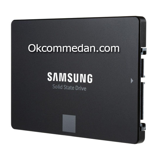 Samsung SSD 850 Evo 500 Gb bergaransi