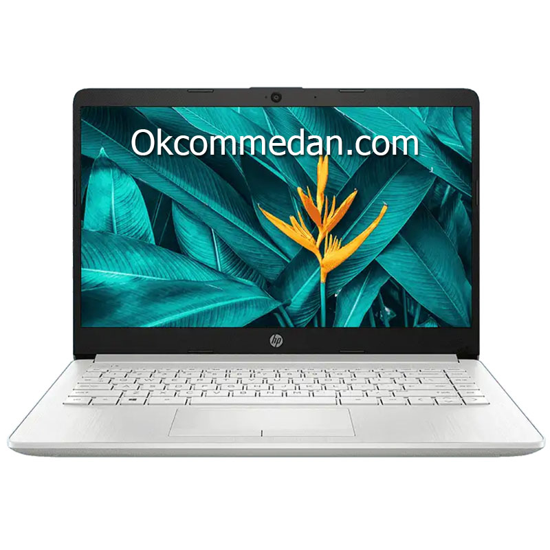 HP Laptop 14s-Dk1001au AMD Athlon 3050u SSD