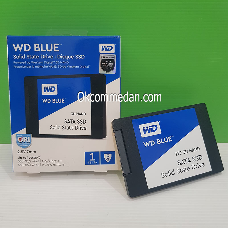 WD Blue SSD 1 TB ( WDS100T2B0A )