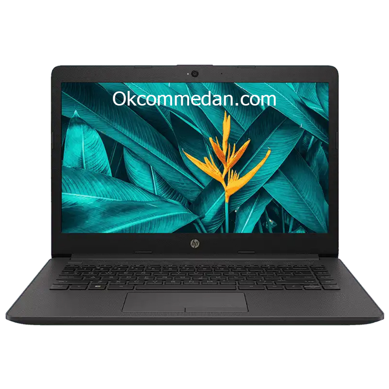 Laptop HP 245 G7 ( 3G811PA ) AMD Ryzen 5 3500u SSD