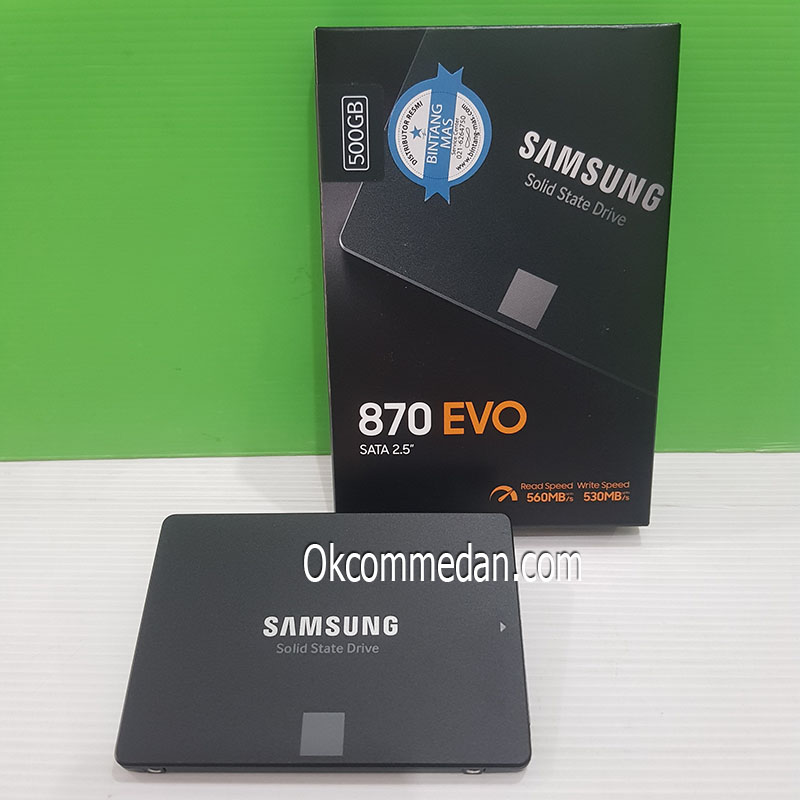 Samsung SSD Evo 870 500 Gb