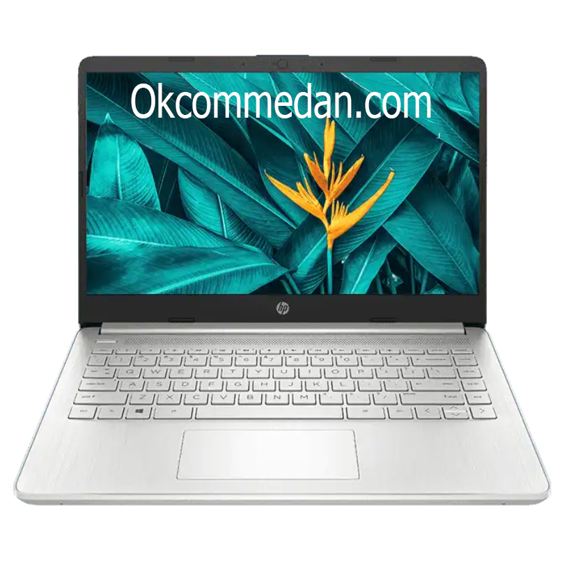 HP Laptop 14s DQ2518tu Intel Celeron 6305u