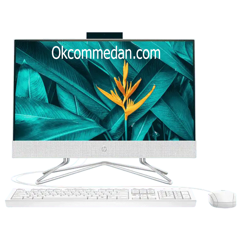 HP 22-DF0145D PC All in One Intel Celeron J4025