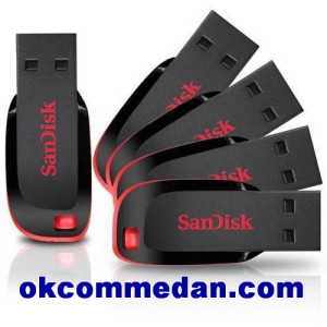 usb sandisk cruser blade